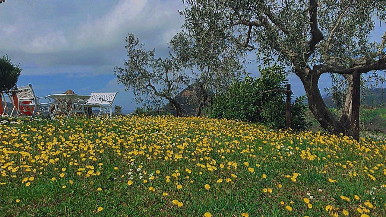 Agriturismo Villa Felice Вольтерра Екстер'єр фото